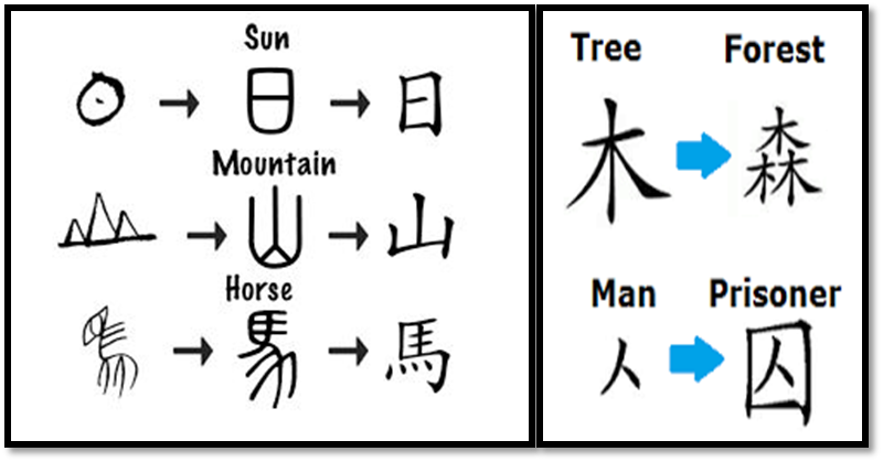 How to write in Chinese A Beginner's Guide in Chinese