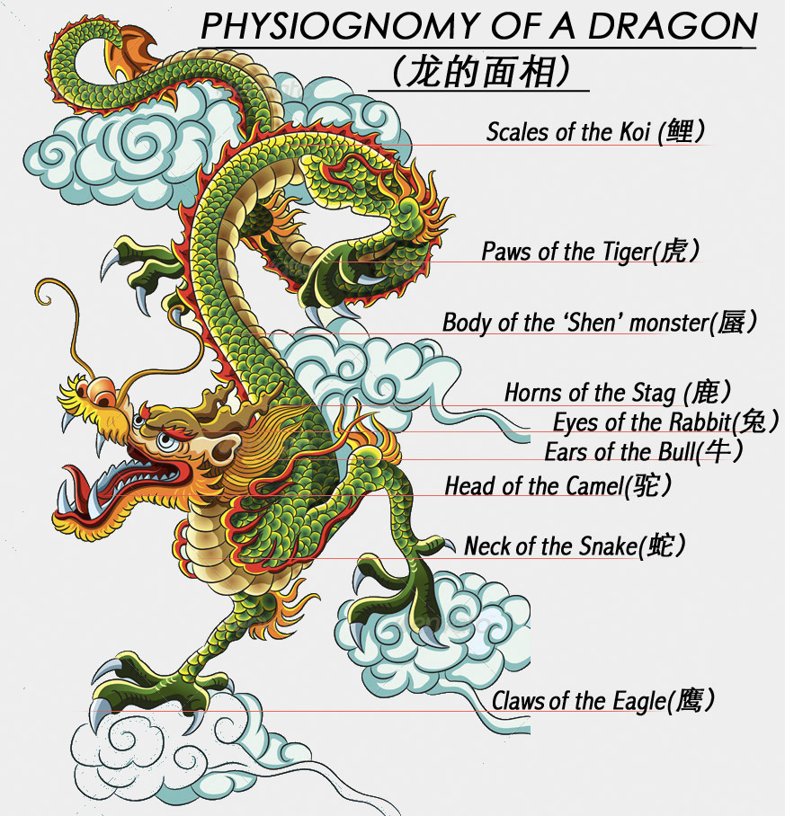 Fantasy/Myth Curled Chinese Dragon Fridge Magnet 