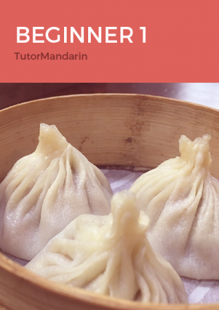 Mandarin Beginner1 Course