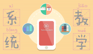 tutormandarin course and curriculums tutormandarin educatoin system
