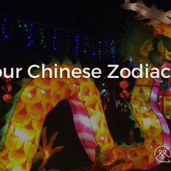 Unterstanding China - PART XX - Know your Chinese Zodiac Animals - Blog