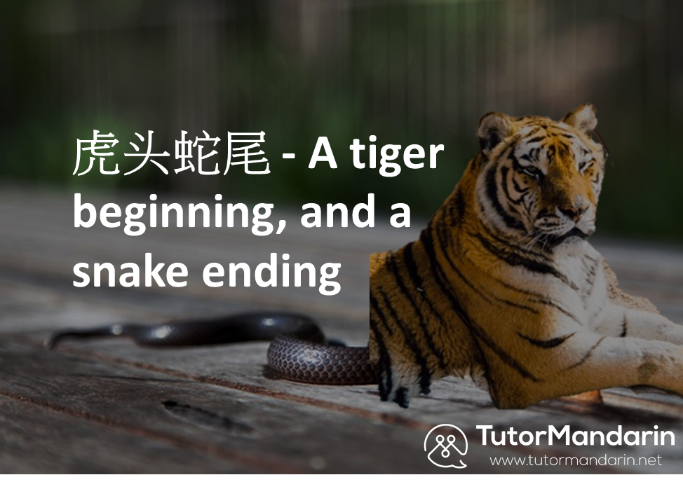 Tiger beginning and a snake like ending - tutormandarin 1-on-1 online lessons