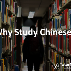 reasons to study mandarin