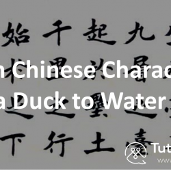 learn chinese characters