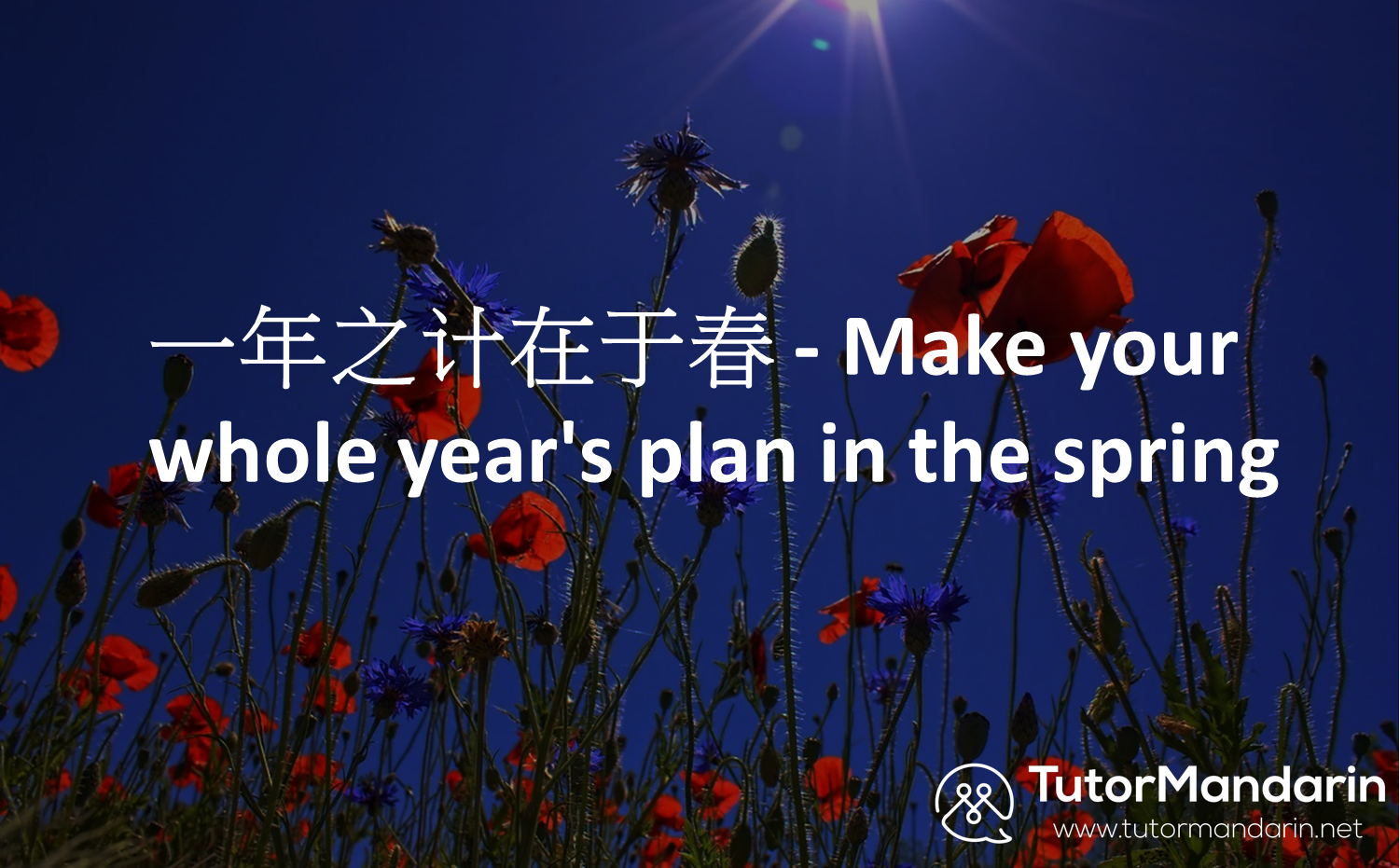 Make your whole year's plan in Spring/ tutormandarin 